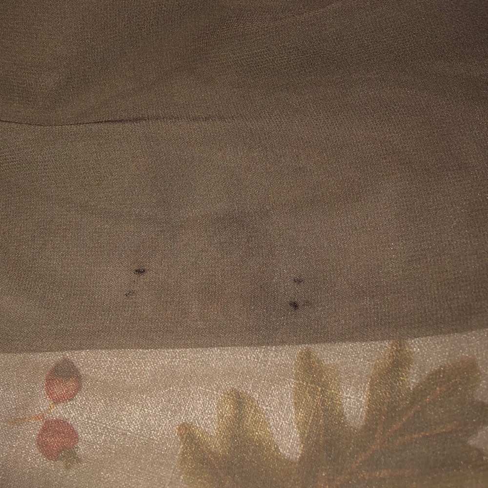 Express Sheer Ruffle Layer Top - Picture 5 of 5